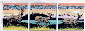 Il Western nel fumetto italiano 70