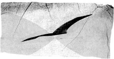 A spasso con Pietro Dipinti (2)