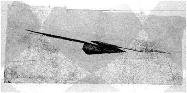 A spasso con Pietro Dipinti (3)