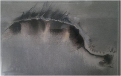 A spasso con Pietro Dipinti (4)