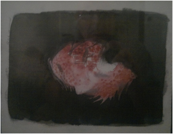 A spasso con Pietro Dipinti (5)