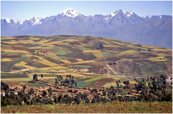 Dall'Appennino alle Ande (12)
