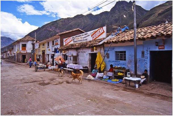 Dall'Appennino alle Ande (13)