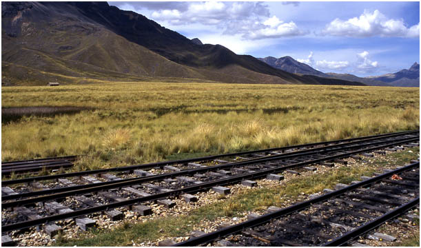Dall'Appennino alle Ande (15)
