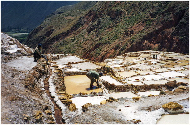 Dall'Appennino alle Ande (9)