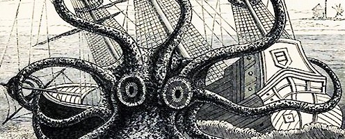 Mai oramai, ma ora 08 polpo-colossale