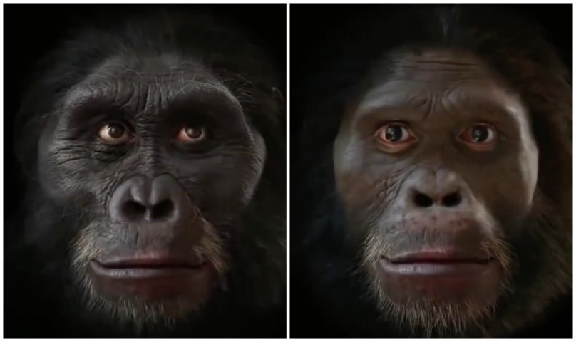 03 Dalla scimmia all'uomo l'evoluzione umana in pochi secondi