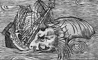 In pancia alla balena 02