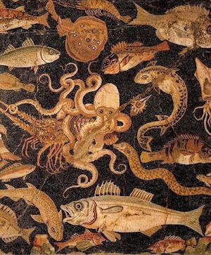 In pancia alla balena 03