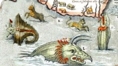 In pancia alla balena 08