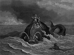 In pancia alla balena 10