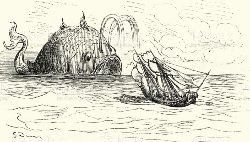 In pancia alla balena 12