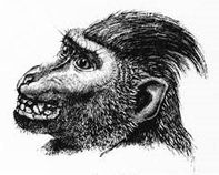 Il lato sinistro della storia3 06