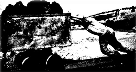 Il giovane Orweell11