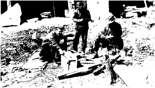 Il giovane Orweell14