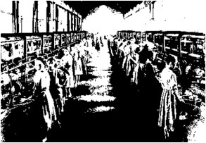 Il giovane Orweell17