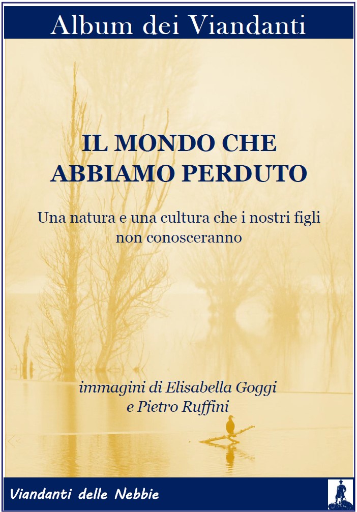 Il mondo che abbiamo perduto copertina