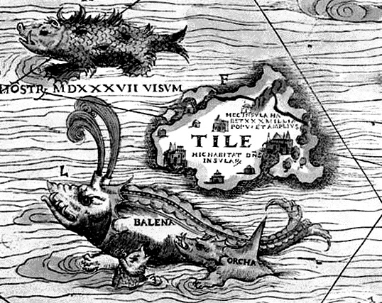 La verità vi prego sui cavalli 03