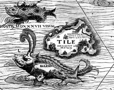 La verità vi prego sui cavalli 03