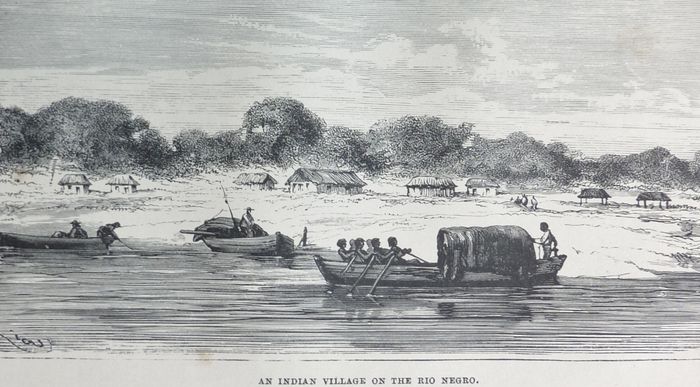 L'importante è non nascere adatti Wallace (1)