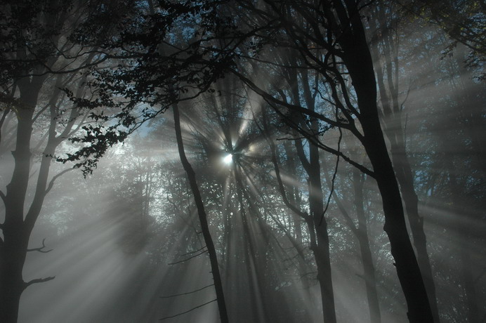 sentieri in utopia 05