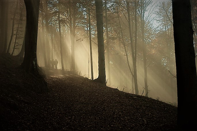 sentieri in utpoia 03