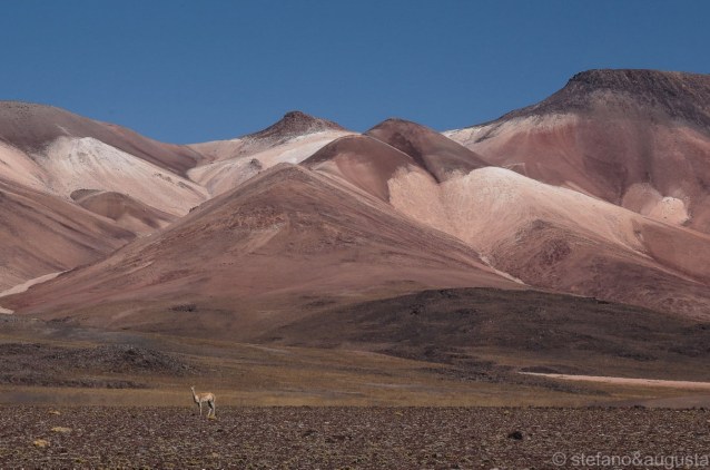 Sulle ali della libertà (16)
