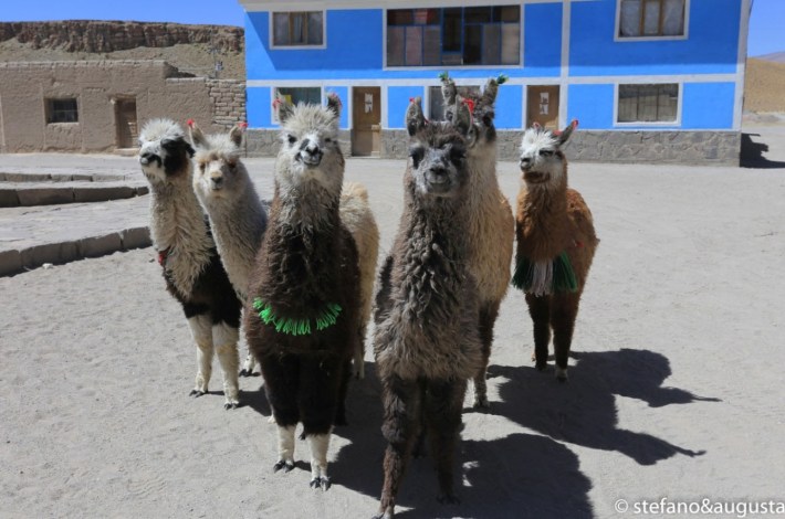 Sulle ali della libertà (20)