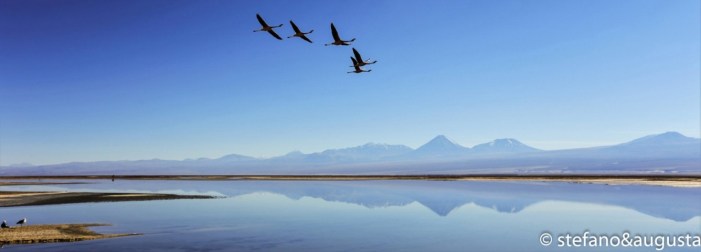 Sulle ali della libertà (25)