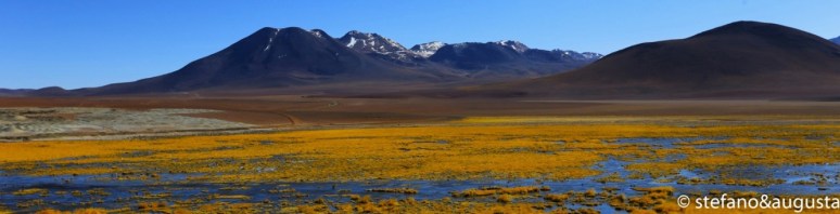 Sulle ali della libertà (6)