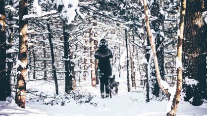 Ritirate e ripartenze 02