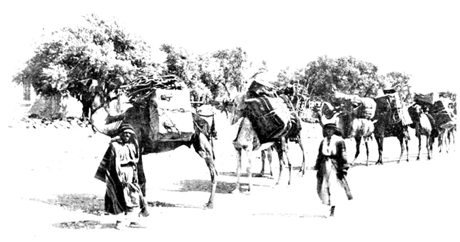 Viaggi, sesso e fantasia 07