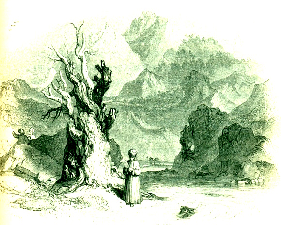 Viaggi, sesso e fantasia 18