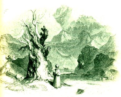 Viaggi, sesso e fantasia 18