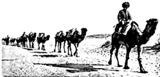 Viaggi, sesso e fantasia 19