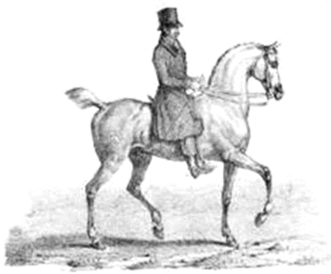 Viaggiando in rimoti paesi 06