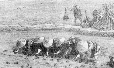 Viaggiando in rimoti paesi 27