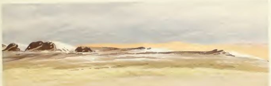 Sven o della solitudine 15