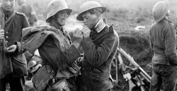 Una dieta ricostituente 06