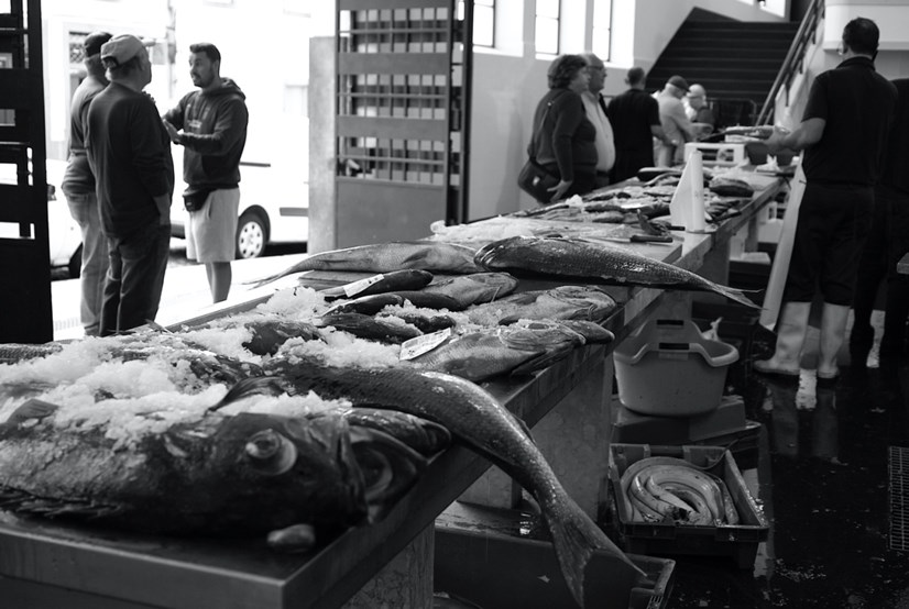 Ma perché non me ne sto a casa, a volte 05