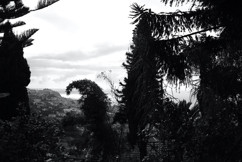 Ma perché non me ne sto a casa, a volte 10