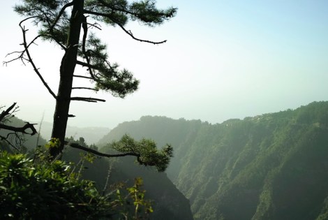 Ma perché non me ne sto a casa, a volte 11