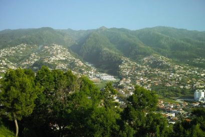 Ma perché non me ne sto a casa, a volte 12