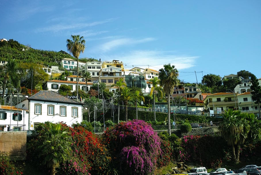 Ma perché non me ne sto a casa, a volte 14