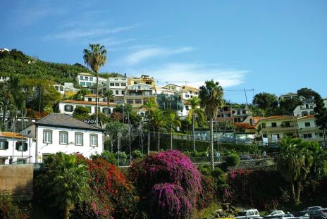 Ma perché non me ne sto a casa, a volte 14