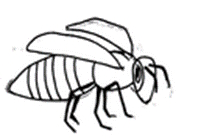 Rassegne e rassegnazione 05