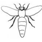 Rassegne e rassegnazione 07