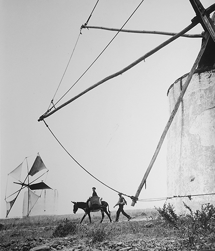 1715226018601-3a0a1287-af9e-4308-b8ac-8d890143833b small